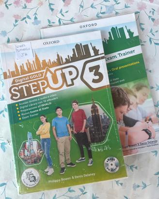 Libri scuola - terza media - inglese