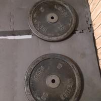 Dischi da 20 kg l'uno .