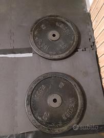 Dischi da 20 kg l'uno .