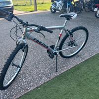 Bicicletta per ragazzi 9-13 anni