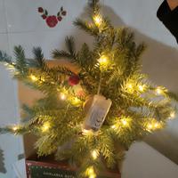 Ghirlanda natalizia con luci e scatola