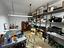 Immagine 28
