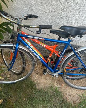 2 biciclette