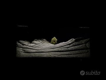 Asus ProArt Monitor 34” PA348CGV