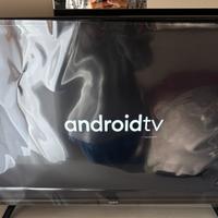 32 polli TV SMART NUOVA