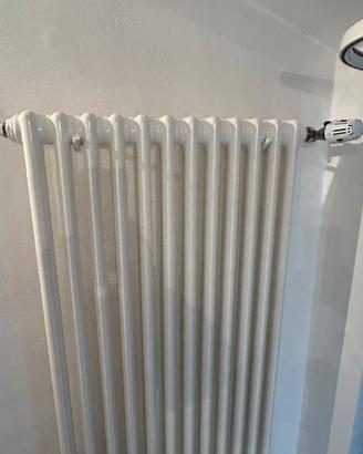 Termosifoni Brandoni Multi 2 Colonne
