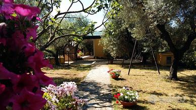Villino