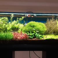 Acquario completo 130 L