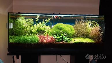 Acquario completo 130 L