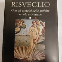Risveglio - Salvatore Brizzi (Anima Edizioni)