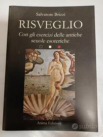 Risveglio - Salvatore Brizzi (Anima Edizioni)