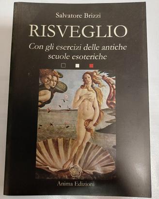 Risveglio - Salvatore Brizzi (Anima Edizioni)