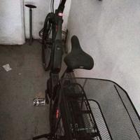 Bici elettrica