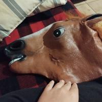 Maschera da Cavallo 