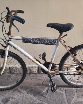 Mountain bike 