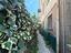 Immagine 19