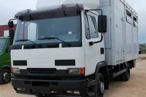 Daf trasporto animali , 75q