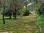 Immagine 6