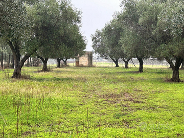 Pozzo artesiano + fondo rustico