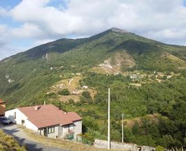 Casa in montagna a Tortora c.da San Quaranta