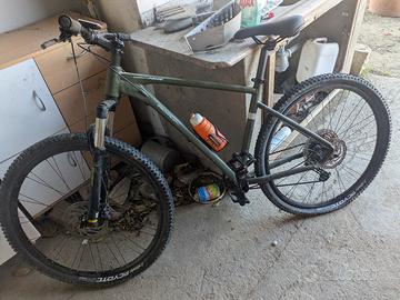 Mountain bike borga twentynine