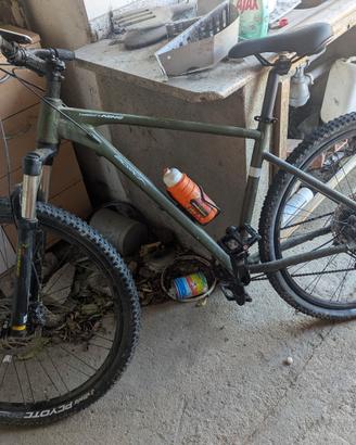 Mountain bike borga twentynine