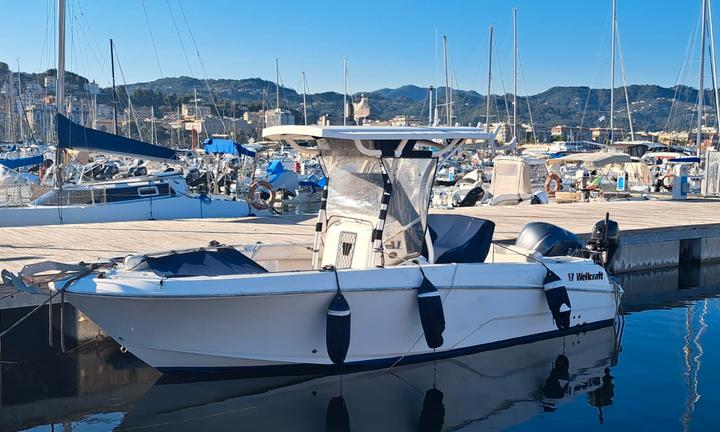 Wellcraft 222 anno 2018