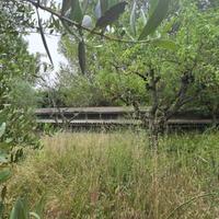 Capannone commerciale a Montepulciano.