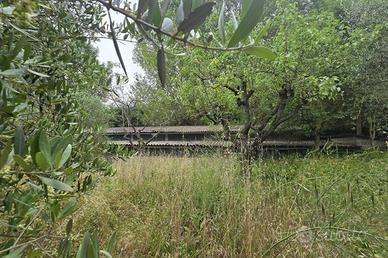 Capannone commerciale a Montepulciano.
