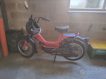 Motorino califone perfetto