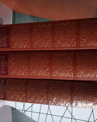 la sacra Bibbia ed. saie 1959