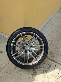 CERCHI IN LEGA MSW 24 oz (17 pollici) a 5 fori