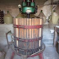 Torchio e Pigiatrice