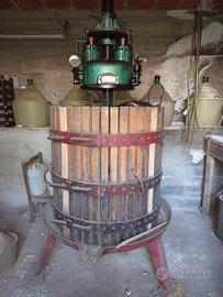 Torchio e Pigiatrice