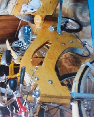 bici sidecar