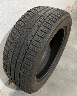 Gomme invernali Toyo