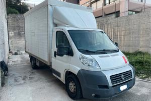 Iveco Daily e Fiat Ducato
