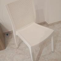 Sedia in plastica