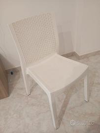 Sedia in plastica