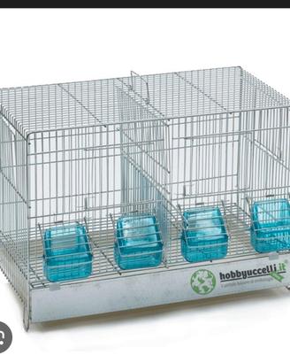 Gabbia cova uccelli