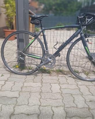 Bici da corsa