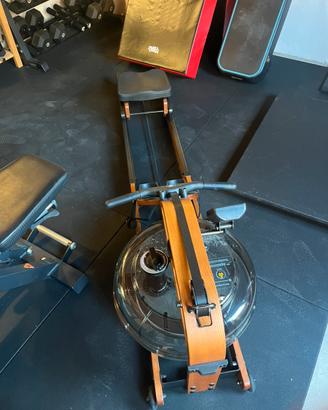 Water rower vogatore ad acqua First degree Viking