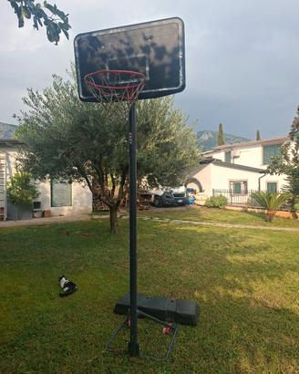 canestro tarmak