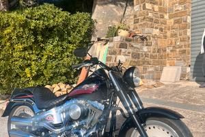 Harley davidson fat boy