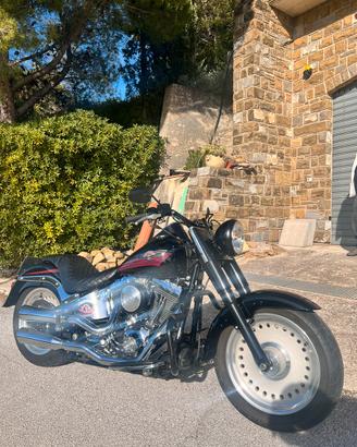 Harley davidson fat boy