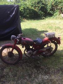 Benelli Leoncino 125