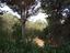 Immagine 14
