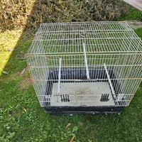 Gabbia per pappagallini