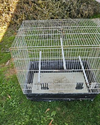 Gabbia per pappagallini