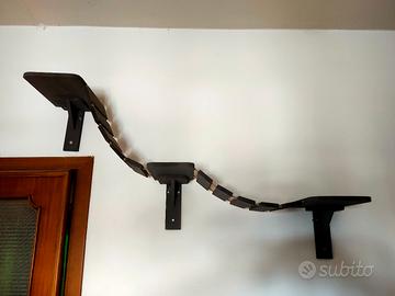 Passarella per gatti